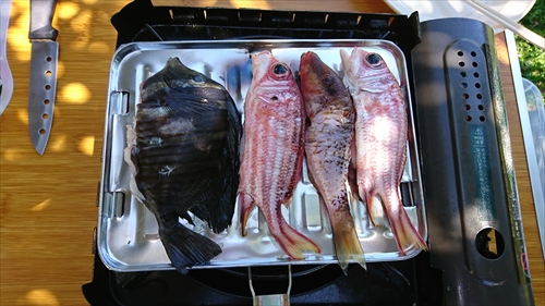 25日・次男初めての釣り！